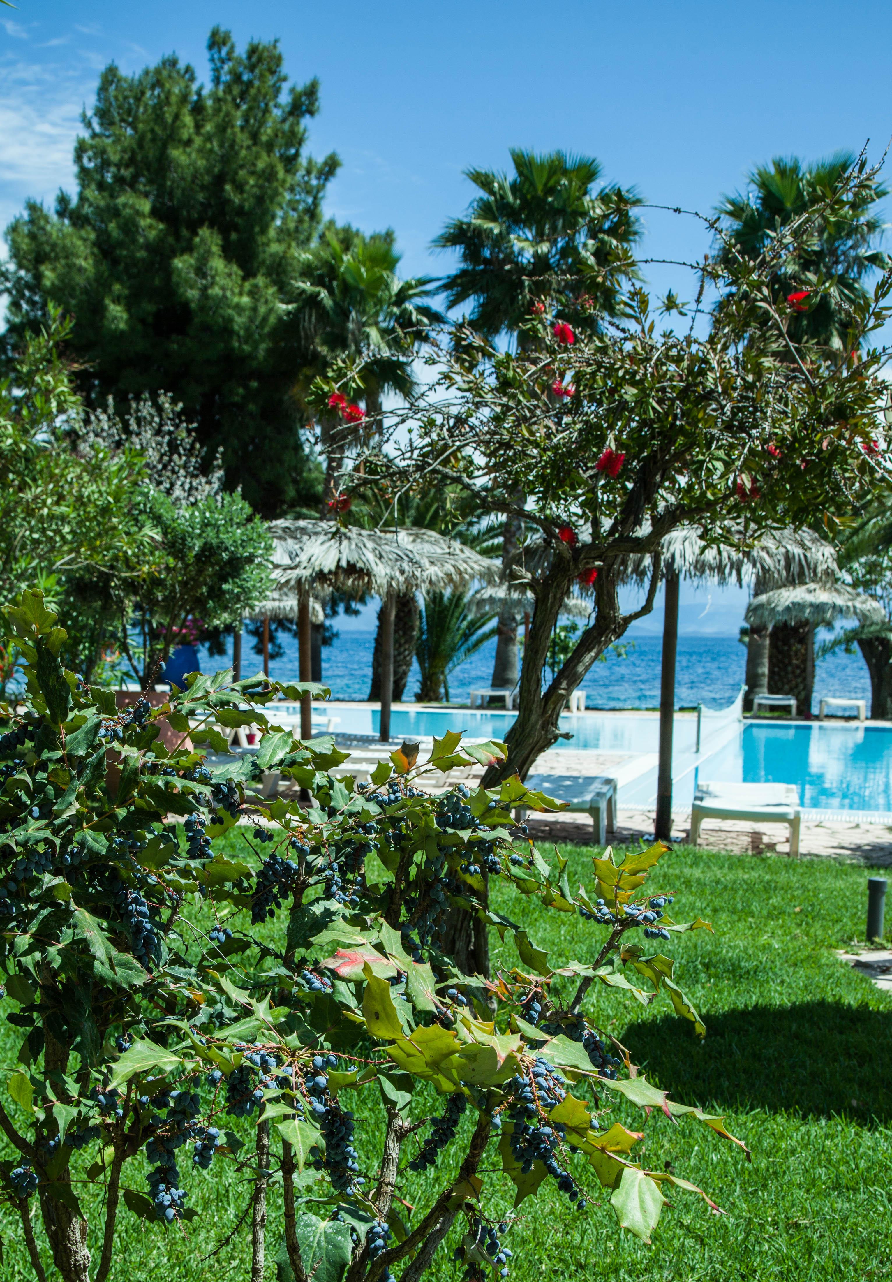 Corfu Senses Resort Agios Ioannis Peristerion Екстериор снимка